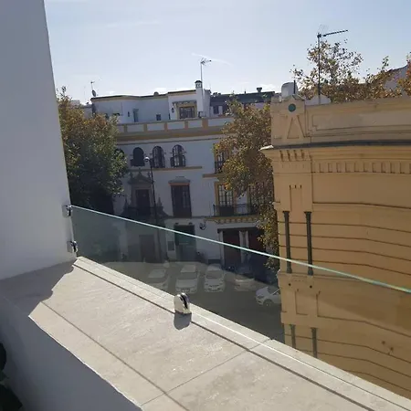 Atico C/ Adriano_catedral. Sevilla